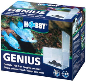 Hobby Genius Fischfalle für Fische aus transparentem Kunststoff 21x13x15 cm – Bild 1 von 8