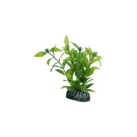 Produktbild von Hobby Hygrophila Aquariumpflanze 13 cm
