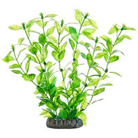 Produktbild von Hobby Hygrophila Wasserpflanze Grün 20 cm