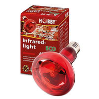 Produktbild von Hobby Infraredlight Eco Terrarienlampe 42 W