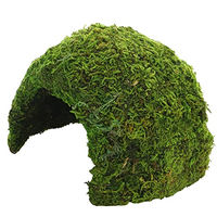 Produktbild von Hobby Jungle Cave 2 Aquarieneinrichtung und Terrarienhöhle für Frosch Salamander Echse und Schlange mit natürlichem Moos 17 x 17 x 12 cm - 118 g