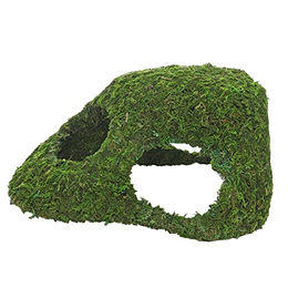 Hobby Jungle Cave 4 Aquarieneinrichtung Höhle aus Naturmaterial für Fische in Grün - 241 g – Bild 1 von 6