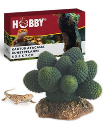Hobby Kaktus Atacama Dekorative Terrarienpflanze für Reptilien und Amphibien 7 cm - 1 Stk. – Bild 1 von 7