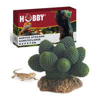 Produktbild von Hobby Kaktus Atacama Dekorative Terrarienpflanze für Reptilien und Amphibien 7 cm - 1 Stk.