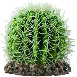 Produktbild von Hobby Kaktus-Terrarium-Dekoration