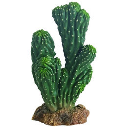 Hobby Kaktus Victoria 1 Terrarienpflanze 19 cm für Reptilien und Wirbellose – Bild 1 von 7