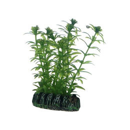 Hobby Kunstpflanze Lagarosiphon Grün für Fischaquarien 7 cm - 1 Stk. – Bild 1 von 5