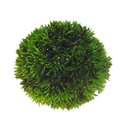 Hobby Kunstpflanze Mooskugel XXL aus Kunststoff 13 cm Grün für Aquaristik - 1 Stk. – Bild 1 von 3