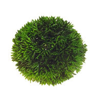 Produktbild von Hobby Kunstpflanze Plant Ball für Aquarien 9 cm Grün