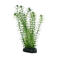 Produktbild von Hobby Lagarosiphon Aquariumdekoration 20 cm - 1 Stk.