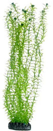 HOBBY Lagarosiphon Kunstpflanze für Aquarien 34 cm Grün - 1 Stk. – Bild 1 von 3