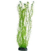 Produktbild von HOBBY Lagarosiphon Kunstpflanze für Aquarien 34 cm Grün - 1 Stk.