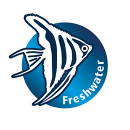 Hobby Lagarosiphon Kunstpflanze für Süßwasser Aquarien Grün 60 cm - 1 Stk. – Bild 1 von 4