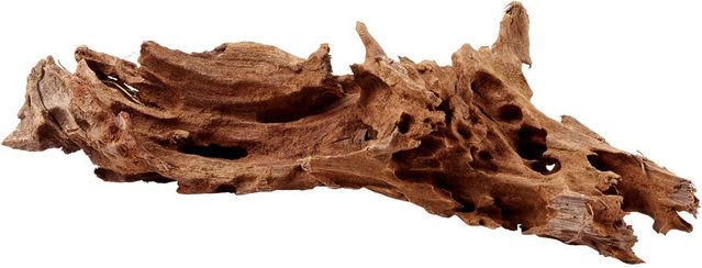 Hobby Mangrovenholz Wurzel für Aquarien 25 - 35 cm Braun – Bild 1 von 2