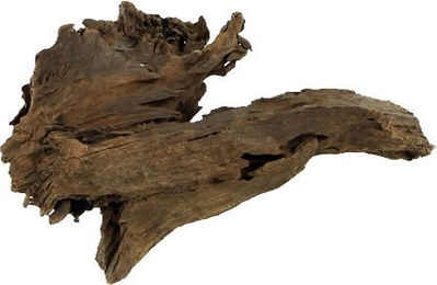 Hobby Mangrovenholz Wurzel XS 12-16cm für Meerwasser Aquaristik – Bild 1 von 2