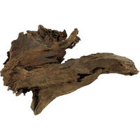 Produktbild von Hobby Mangrovenholz Wurzel XS 12-16cm für Meerwasser Aquaristik
