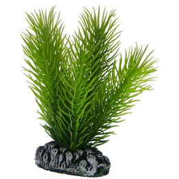 Hobby Mayaca Kunstpflanze für Fische Grün 7 cm - 1 Stk. – Bild 1 von 3