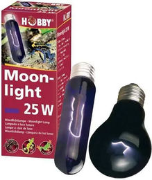 Hobby Moonlight Terrarienlampe 60 W – Bild 1 von 1