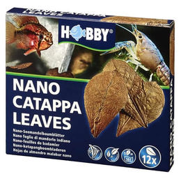 Hobby Nano Catappa Leaves Seemandelbaumblätter für Fische und Garnelen 12 Stück – Bild 1 von 7