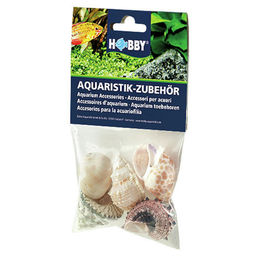 HOBBY Natur Sea Shells Aquarieneinrichtung Set L mit 5 echten Muscheln zur Dekoration für Fische und Krebse – Bild 1 von 10