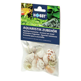 Hobby Natur Sea Shells Aquarieneinrichtung Set M mit 10 bunten Schneckenhäusern für Krebse - 10 Stk. – Bild 1 von 6