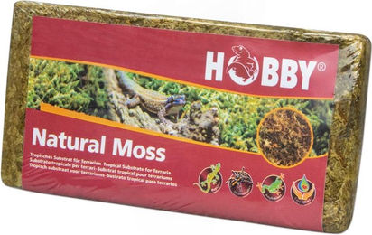 Hobby Natural Moss Moos für Terrarien und Reptilien 100g - 100 g – Bild 1 von 7