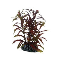Produktbild von Hobby Nesaea Dekopflanze für das Aquarium 13 cm