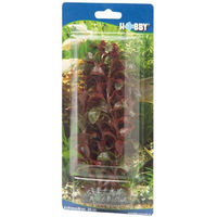 Produktbild von Hobby Rotala Aquariumpflanze 16 cm