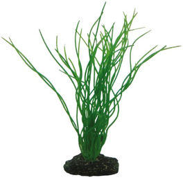 Hobby Sagittaria Kunstpflanze für Aquarien und Schildkröten 20 cm Grün - 20 cm – Bild 1 von 7