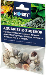 Hobby Sea Shells Set bunte Muscheln für Meerwasser Aquarien und Einsiedlerkrebse 20 Stück - 20 Stk. – Bild 1 von 5