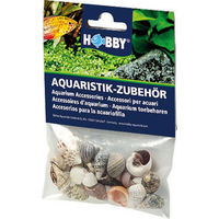 Produktbild von Hobby Sea Shells Set bunte Muscheln für Meerwasser Aquarien und Einsiedlerkrebse 20 Stück - 20 Stk.