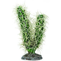 Produktbild von Hobby Simpson Kaktus-Terrarium-Dekoration