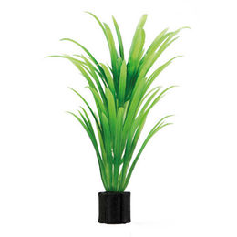 Produktbild von Hobby Tenellus Mini Meerwasser Koralle Grün