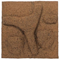 Produktbild von Hobby Terraristik Kokos Modul I Terrarienrückwand aus Kokosfasern 50 x 50 cm