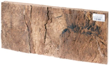 HOBBY Terraristik Kork Rückwand Laos 60 x 30 x 1,5 cm 2 Stück aus gewalztem Naturkork für Trockenterrarien – Bild 1 von 1