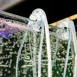 Hobby Tube Star Schlauchführung für CO2-Anlagen im Aquarium 2 Stück – Bild 1 von 2