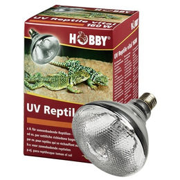Hobby UV Reptile vital UV-Flächenstrahler für Reptilien 160 W - 1 Stk. – Bild 1 von 6