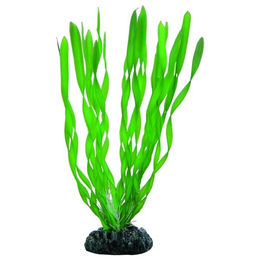 Hobby Vallisneria Kunststoffpflanze für Süßwasser-Aquarien 20 cm Grün – Bild 1 von 9