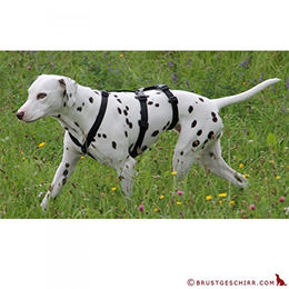 Hoffmann Das Original NoExit Hundegeschirr Sicherheitsgeschirr aus Nylon Braun Bauchumfang 40-60 cm – Bild 1 von 4