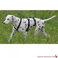 Produktbild von Hoffmann Das Original NoExit Hundegeschirr Sicherheitsgeschirr aus Nylon Braun Bauchumfang 40-60 cm