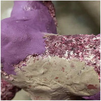 Produktbild von Holdfast Epoxy Klebstoff für Aquarien in Lila