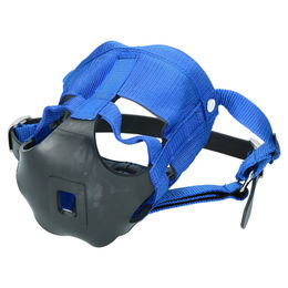 Holland Animal Care Anti-Graas Pferdemaulkorb The Ultimate Muzzle aus Leder für Shetty in Blau – Bild 1 von 2