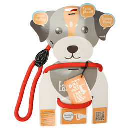 Holland Animal Care Easy Walk Führgeschirr und Leine Set Rot Regular – Bild 1 von 7
