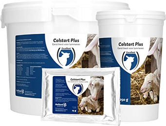 Holland Animal Care Excellent Colstart Plus Futtermilch zur Immunstärkung für junge Schafe und Fohlen 2 kg – Bild 1 von 2