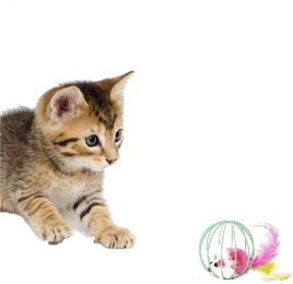 HomeBella Katzenspielzeug Maus aus Plüsch mit Feder und Glocke für Kitten und Katzen – Bild 1 von 4