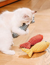 HomeBella Katzenspielzeug mit Katzenminze K-12 Stoff-Beschäftigungsspielzeug für Kitten – Bild 1 von 4