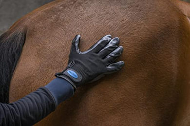 Horizont Striegel Handschuhe für die Fellpflege aus Kunststoff in Schwarz – Bild 1 von 2