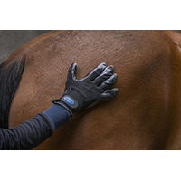 Produktbild von Horizont Striegel Handschuhe für die Fellpflege aus Kunststoff in Schwarz