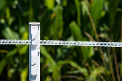 horizont Weidezaunpfähle aus Kunststoff weiß 10 Stück Höhe 136cm mit Ösen für Bänder und Seile – Bild 1 von 4