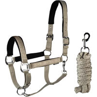 Produktbild von HORKA Brilliance Halfter und Longiergurt Set für Shettys in Beige